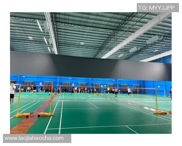 广州羽毛球队转型升级之路探索与挑战的深度剖析